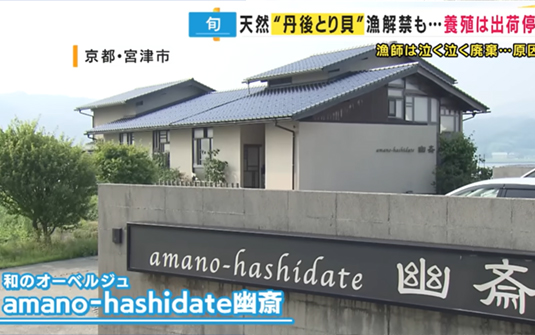 トリ貝解禁のニュース